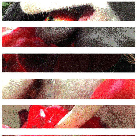 A baby girl named Heaven