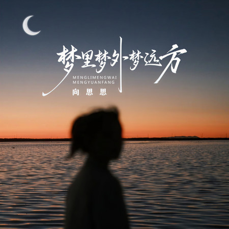 夢裏夢外夢遠方