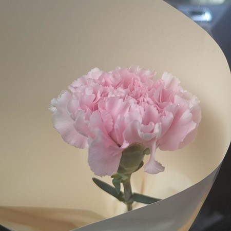 朝云散