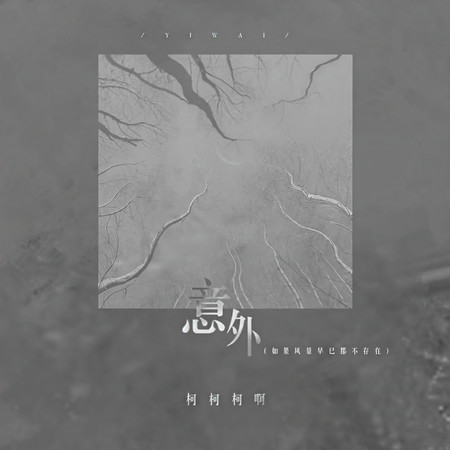 意外（如果風景早已都不存在）