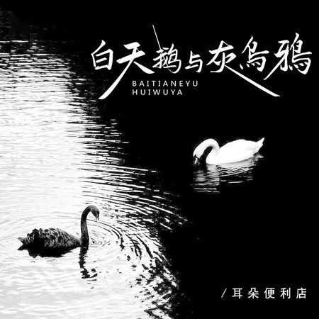 白天鵝與灰烏鴉