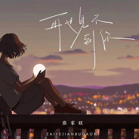 再也沒見過你