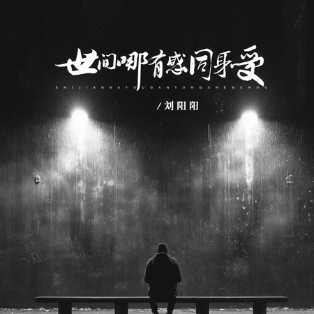 世間哪有感同身受