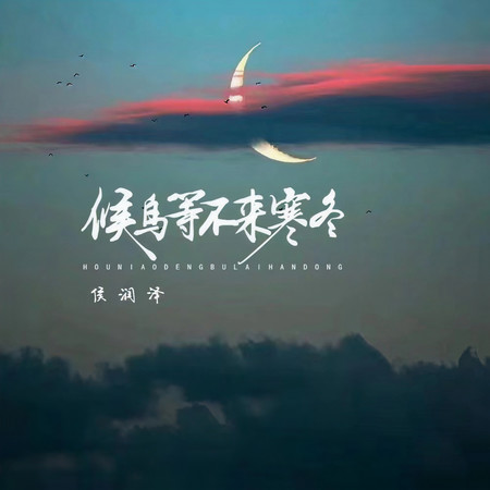 候鳥等不來寒冬