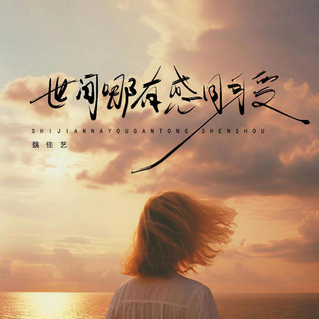 世間哪有感同身受