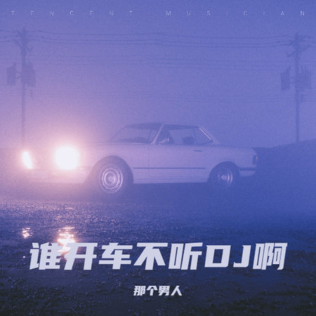 叮咚雞 (這裏沒人叫你老弟)
