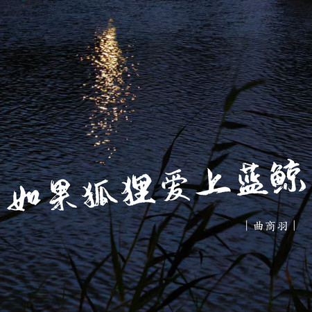 專輯封面