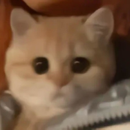 專輯封面