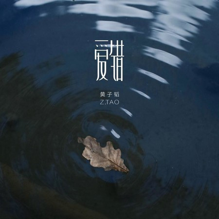 爱错