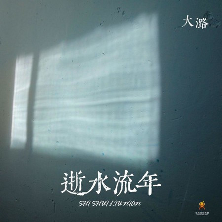 逝水流年 (DJ翊轩慢摇版伴奏)
