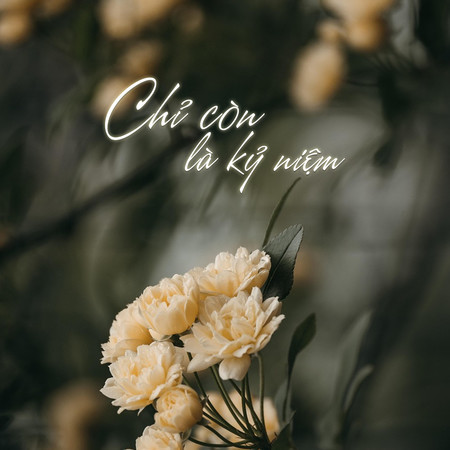 Chỉ Còn Là Kỷ Niệm