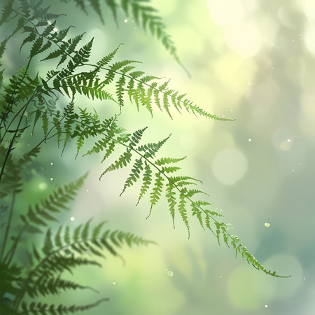睡眠森鋼琴