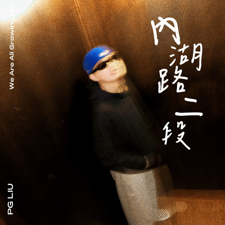 內湖路二段
