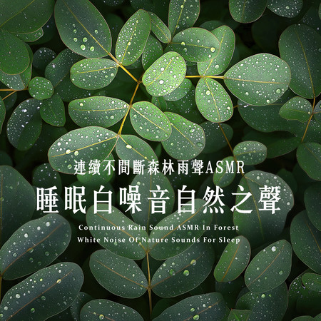 連續不間斷森林雨聲ASMR - 睡眠白噪音自然之聲 (Continuous Rain Sound ASMR In Forest - White Noise Of Nature Sounds For Sleep)