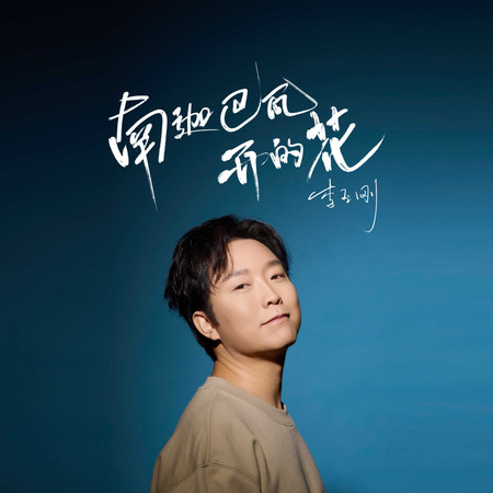 南迦巴瓦開的花(公路版)