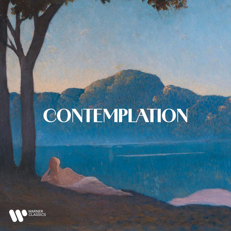 Contemplation