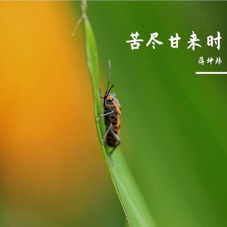 苦尽甘来时