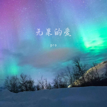 無果的愛