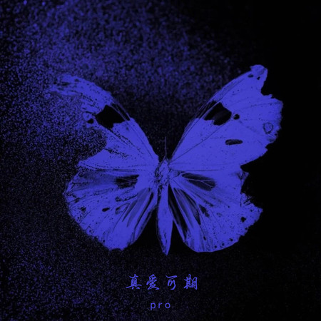 真愛可期