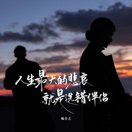 人生最大的悲哀就是选错伴侣 (扎心版)
