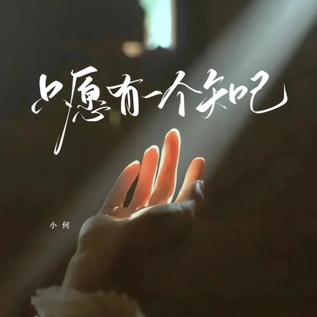 只愿有一个知己