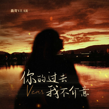 你的過去我不介意