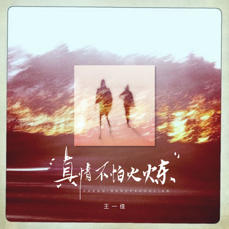 真情不怕火煉