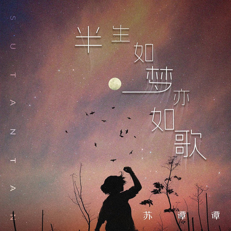 半生如夢亦如歌