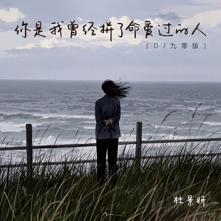 你是我曾經拼了命愛過的人