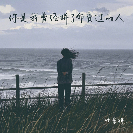 你是我曾經拼了命愛過的人