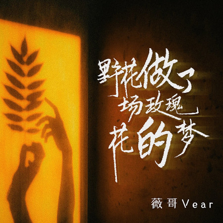 野花做了場玫瑰花的夢