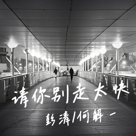 請你別走太快