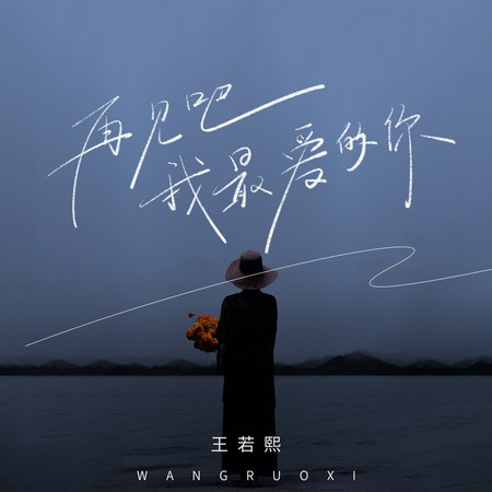 再見吧我最愛的你