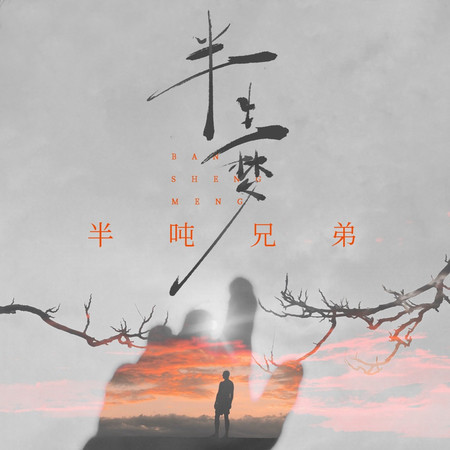 半生夢