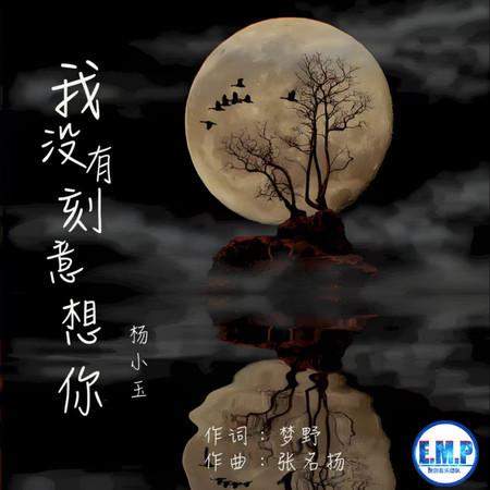 我沒有刻意想你