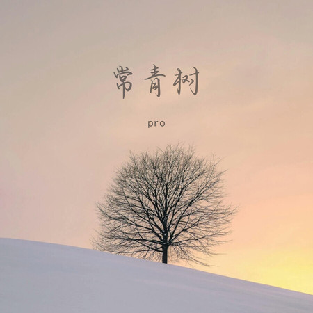 常青樹