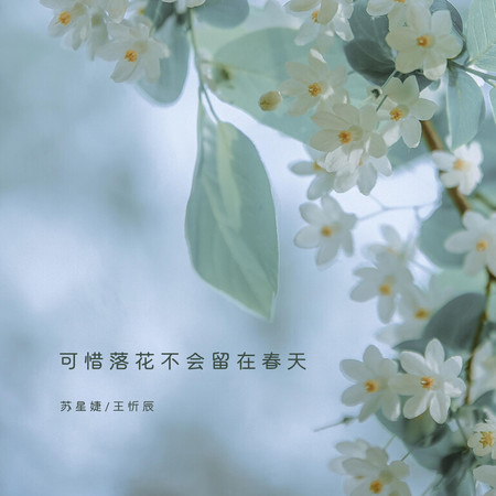 可惜落花不會留在春天