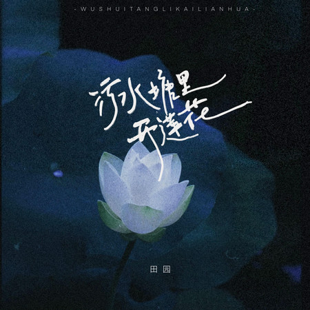 污水塘裡開蓮花