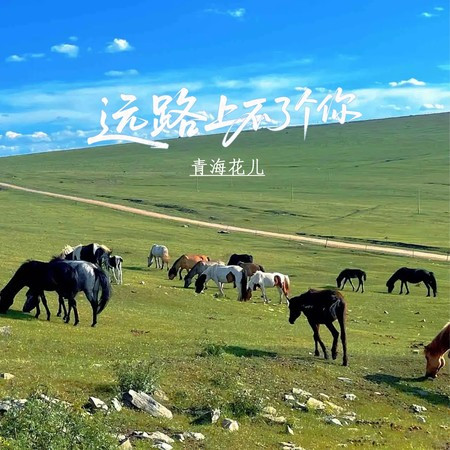 远路上不见个你
