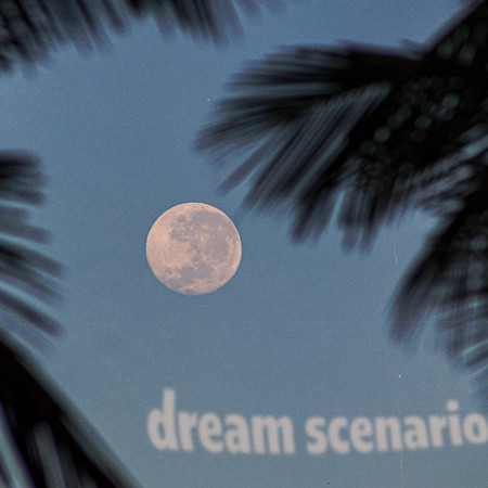 Dream Scenario