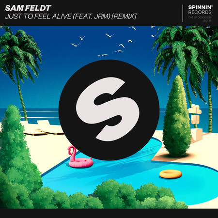 Just To Feel Alive (feat. JRM) (Extended Remix)