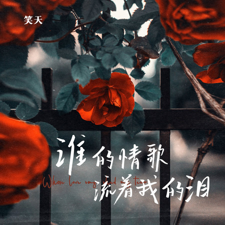 誰的情歌流着我的淚