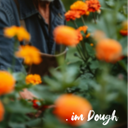 Piano Music : Serene Daylight (Wind Chime Sound)