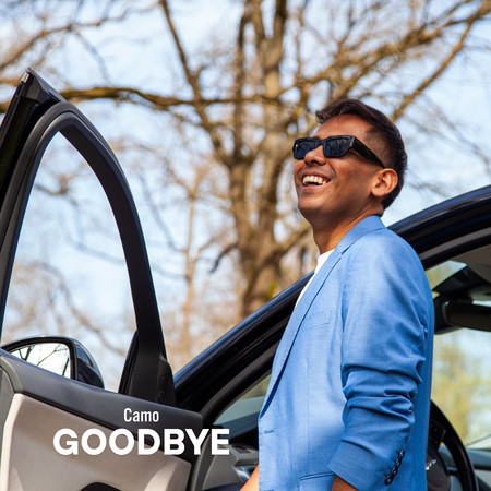 Goodbye