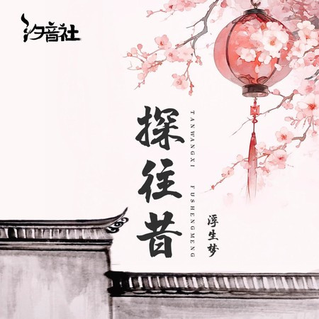 探往昔 (DJ细霖版)