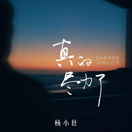 真的盡力了