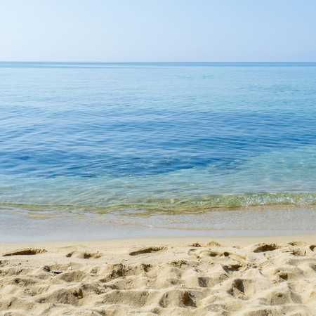 快樂血清素 舒適鋼琴大自然