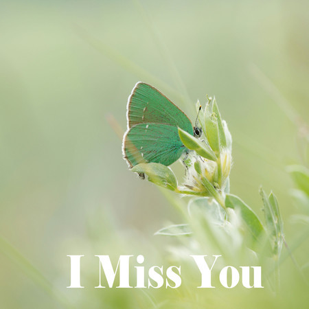 I Miss You