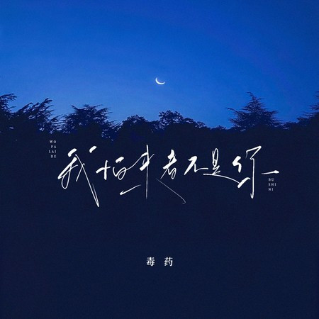 我怕来者不是你 (毒药版)