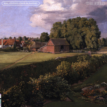 The Field